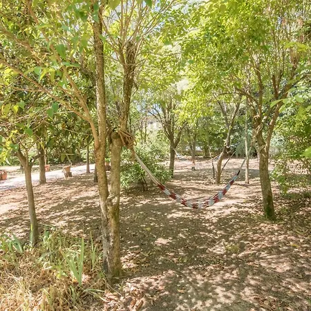 La Pineta Di Willa Sinalunga